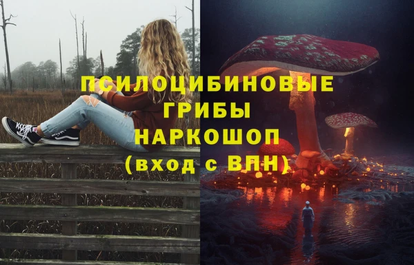 2c-b Абдулино